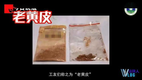 吸食后感觉无比 放松 的卷烟,背后有猫腻